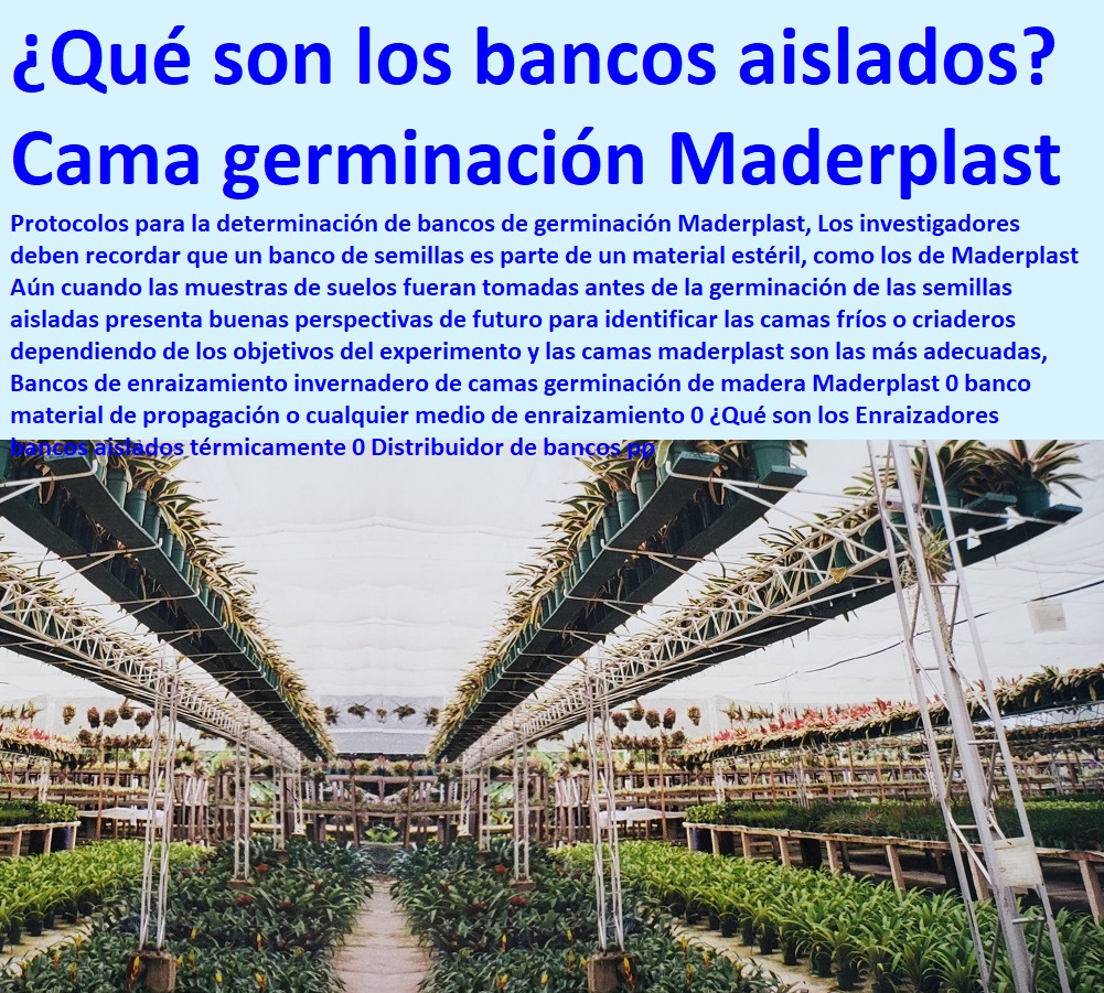 Bancos de enraizamiento invernadero de camas germinación de madera Maderplast 0 banco material de propagación o cualquier medio de enraizamiento 0 ¿Qué son los Enraizadores bancos aislados térmicamente 0 Distribuidor de bancos pp Bancos de enraizamiento invernadero de camas germinación de madera Maderplast 0 banco material de propagación o INVERNADEROS, SEMILLEROS, BANCOS DE SIEMBRA, Hidroponía, Agricultura, Cosecha, Poscosecha, Tutores para Flores cable vía Bananas Aromáticas, Cultivos Tecnificados, cualquier medio de enraizamiento 0 ¿Qué son los Enraizadores bancos aislados térmicamente 0 Distribuidor de bancos pp